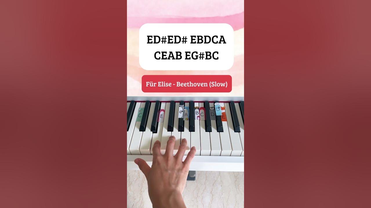 Für Elise - Beethoven (SLOW Piano Tutorial) #fürelise #pianotutorial #pianobeginner