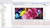 JSP 게시판 만들기 강좌 3강 - 회원 데이터베이스 구축하기 (JSP Advanced Development Tutorial #3) - YouTube Jsp 게시판 만들기 강좌 3강 - 회원 데이터베이스 구축하기 (Jsp Advanced Development Tutorial #3) - Youtube