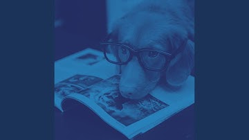 Pulsating Moods for Walking Puppies