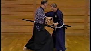 Tennen Rishin Ryu Kenjutsu Resimi