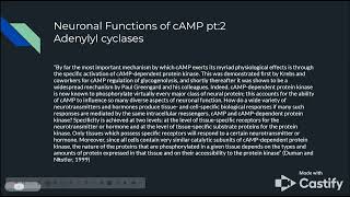 cGMP and cAMP - Google Slides - Screencastify - May 5, 2026 12:12 AM
