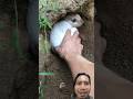 Slowly uncle!!! #animals #rabbit