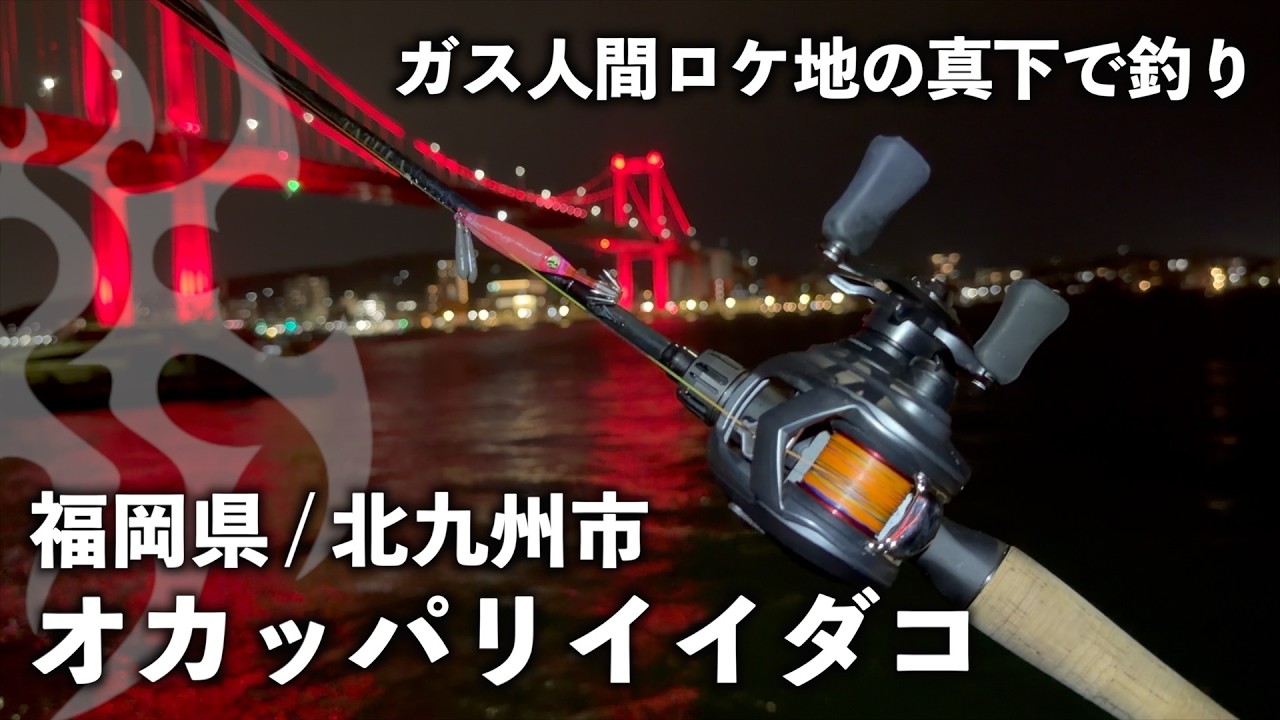バスタックルで手軽に季節の海釣りを楽しもう！（イイダコ編）