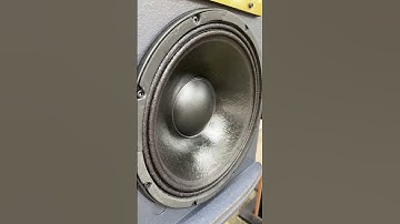 Tiếng bass đánh như này đã đủ truất chưa anh em, nghe chỉ có phê