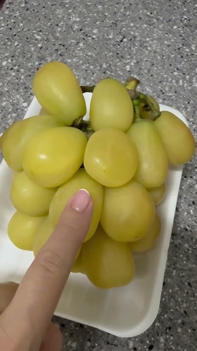 Самый огромный виноград когда либо я видела 😯 Корейский виноград 🍇 ...