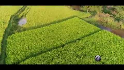 Marshall Fka// Ka Neih chhun/// WhattApp status Vedeo