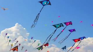 2023 Status Makar Sankranti Status Status Lohri Status Uttaran