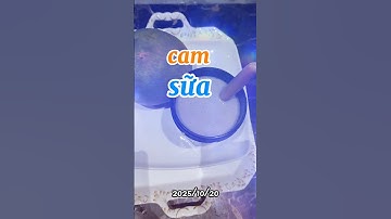 bạn có uống sữa nóng kèm cam? #food #shorts #lemoncoder
