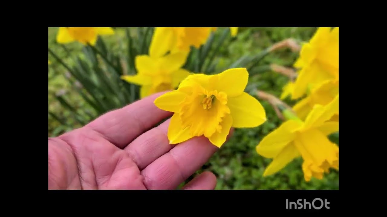 Франция. Мороз и солнце....ой дождь и ветер 