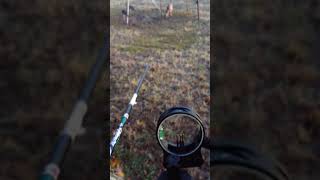 Deer hunting with a bow! Part 1