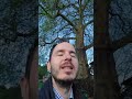 Financial AI That Actually Work Built in ? Days
