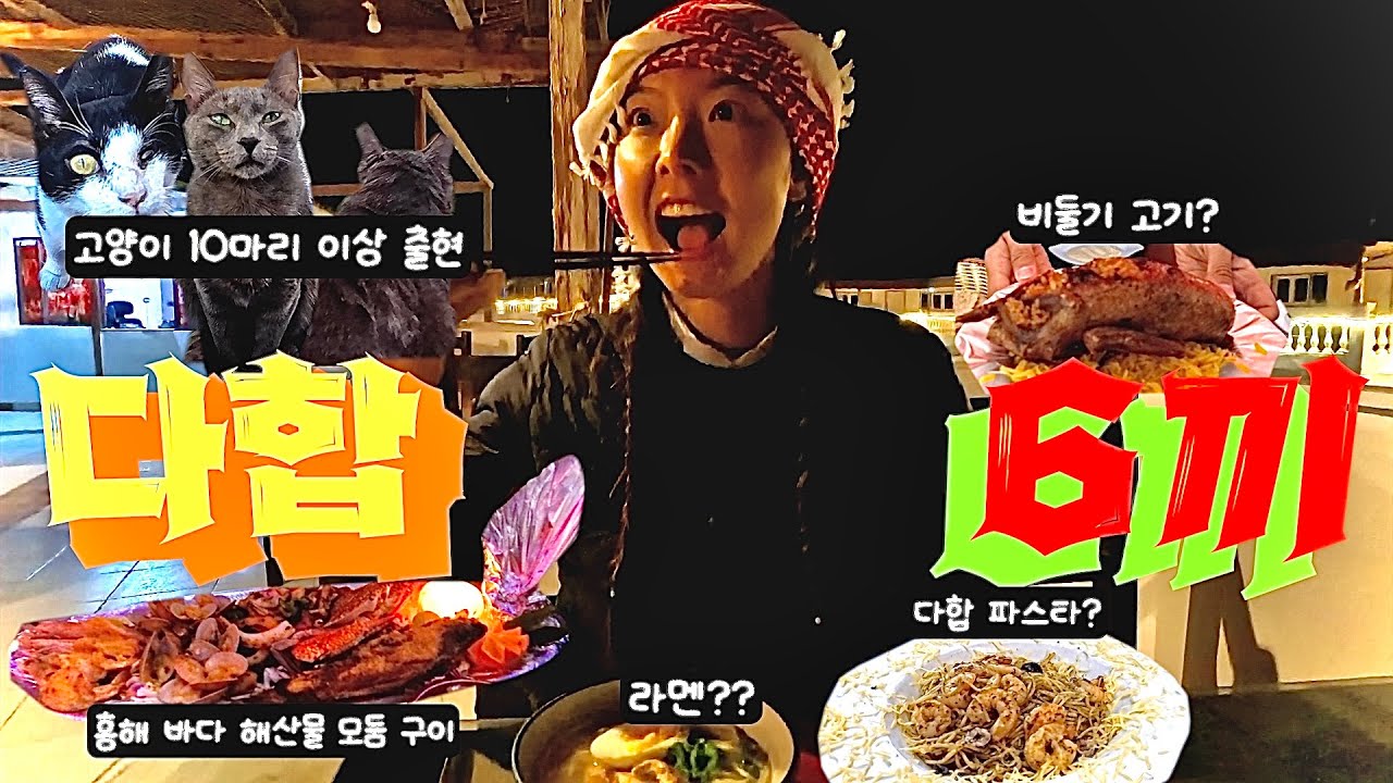 🇪🇬 미친 가성비의 다합 6끼 모음