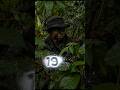 History Rare Story Fact #viral #facts #history #historyfacts #amazingfacts #viralvideo #viralshort