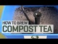 How To Brew Compost Tea
