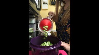 Tupperware’s New Spiralizer!