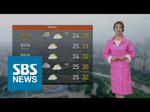 [날씨] 전국 곳곳에 세찬 비…중부지방·전북 집중 호우 / SBS