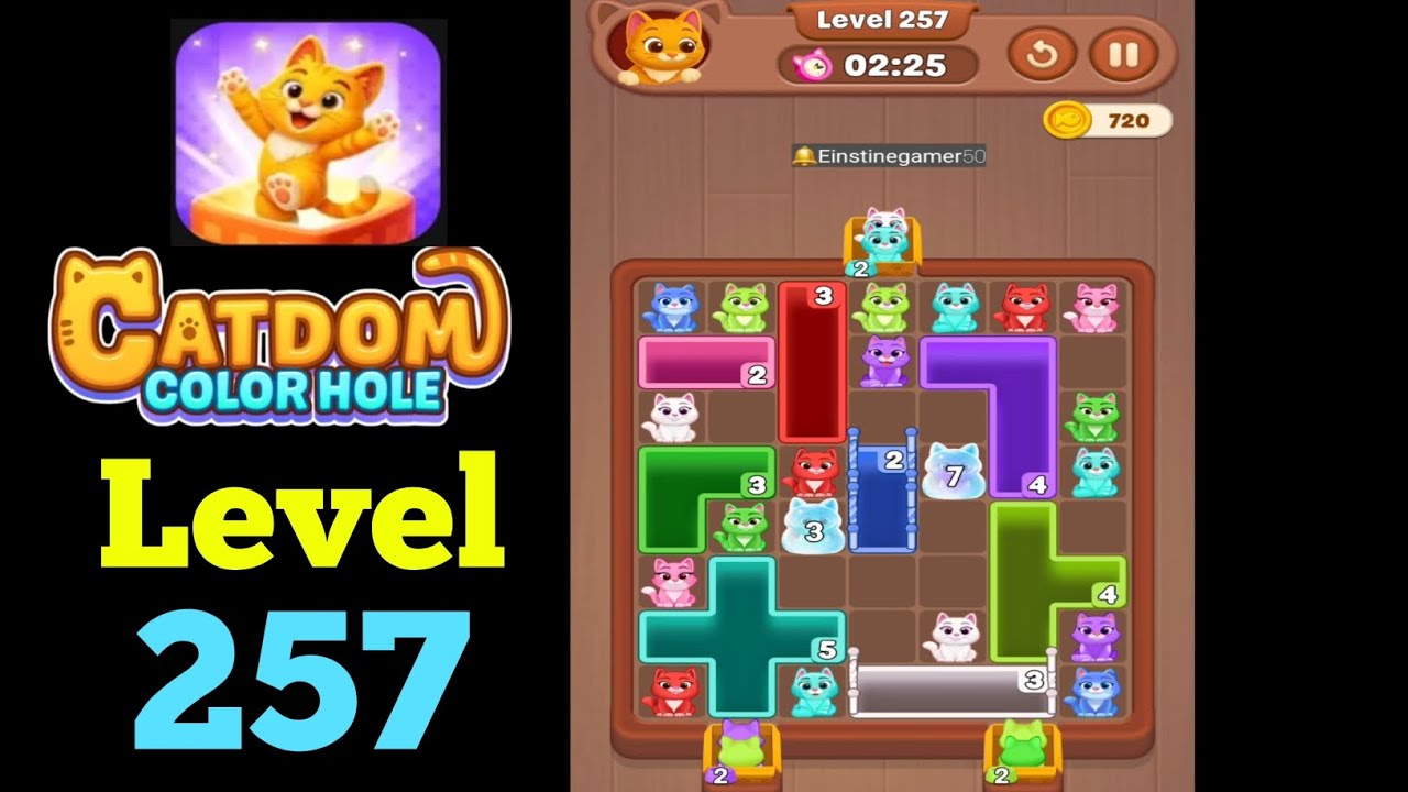 Catdom Color hole level 257 Walkthrough Solution - YouTube