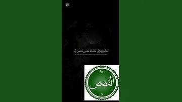 ‏تلاوة الشيخ محمد صديق المنشاوي(سورة القصص)