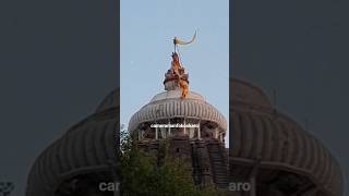 Jagannath Temple Flag Change Ritual #shorts #viral #jagannathtemple #flagchange