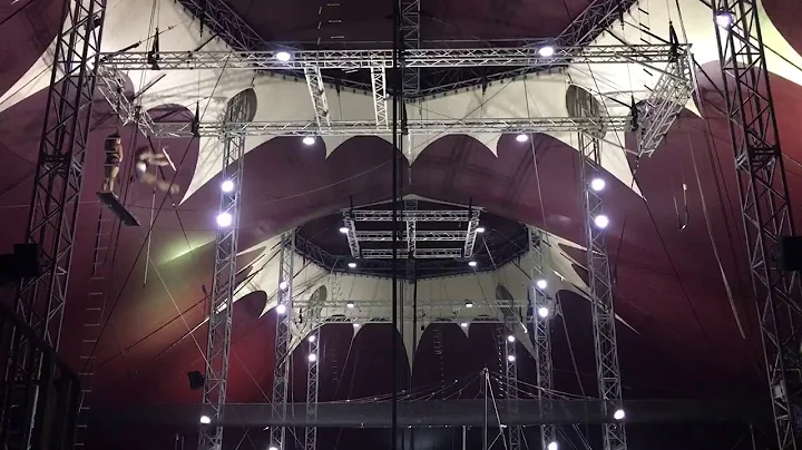 Flying Trapeze - Emily Holt
