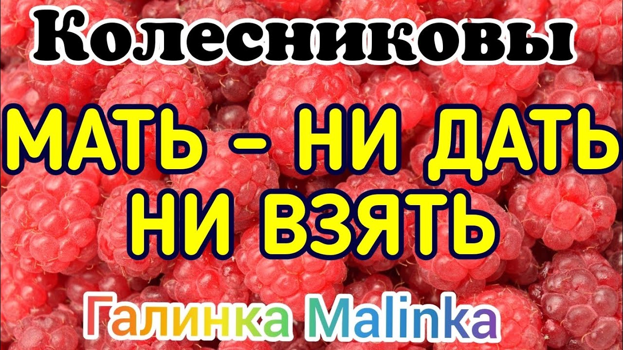 Ни дать ни взять киров. Ни дать ни взять киров