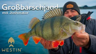 Großbarschjagd mit Joshinator im Frühjahr | Westin Fishing (Deutsch)
