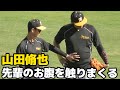 【先輩達と仲良く守備練習】昼食食べすぎた？！井上広大先輩のお腹をポンポン触りまくる山田脩也さん【阪神秋季キャンプ】