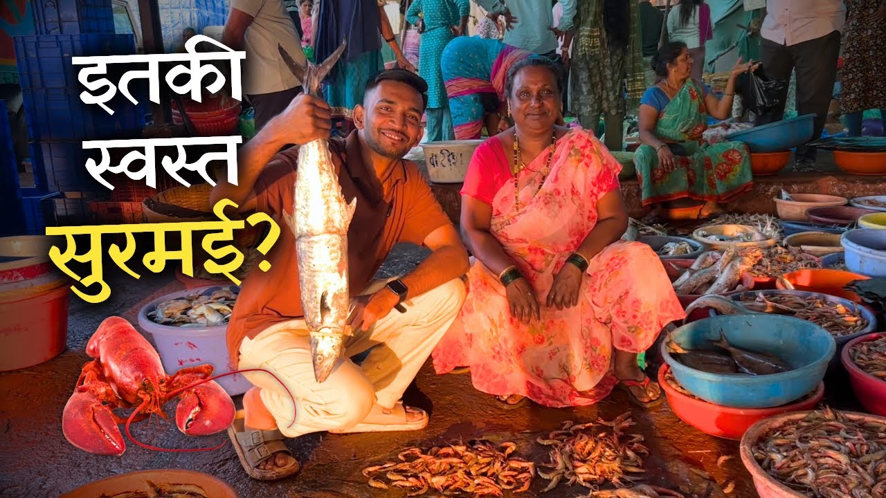 ₹1200 ला सुरमई 😲 | देवगड फिश ऑक्शन | Devgad Fish Auction