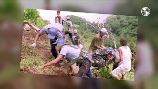 A 30 Años Del Accidente Del Vuelo 901 En El Volcán Chichontepec