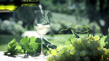 ANDRITZ SEPARATION – FRAUTECH Separators