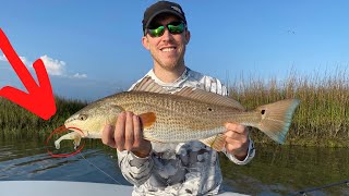 We're Back! Summer Inshore Fishing Tactics that Work Everywhere