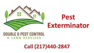 Pest Exterminator Quincy Illinois