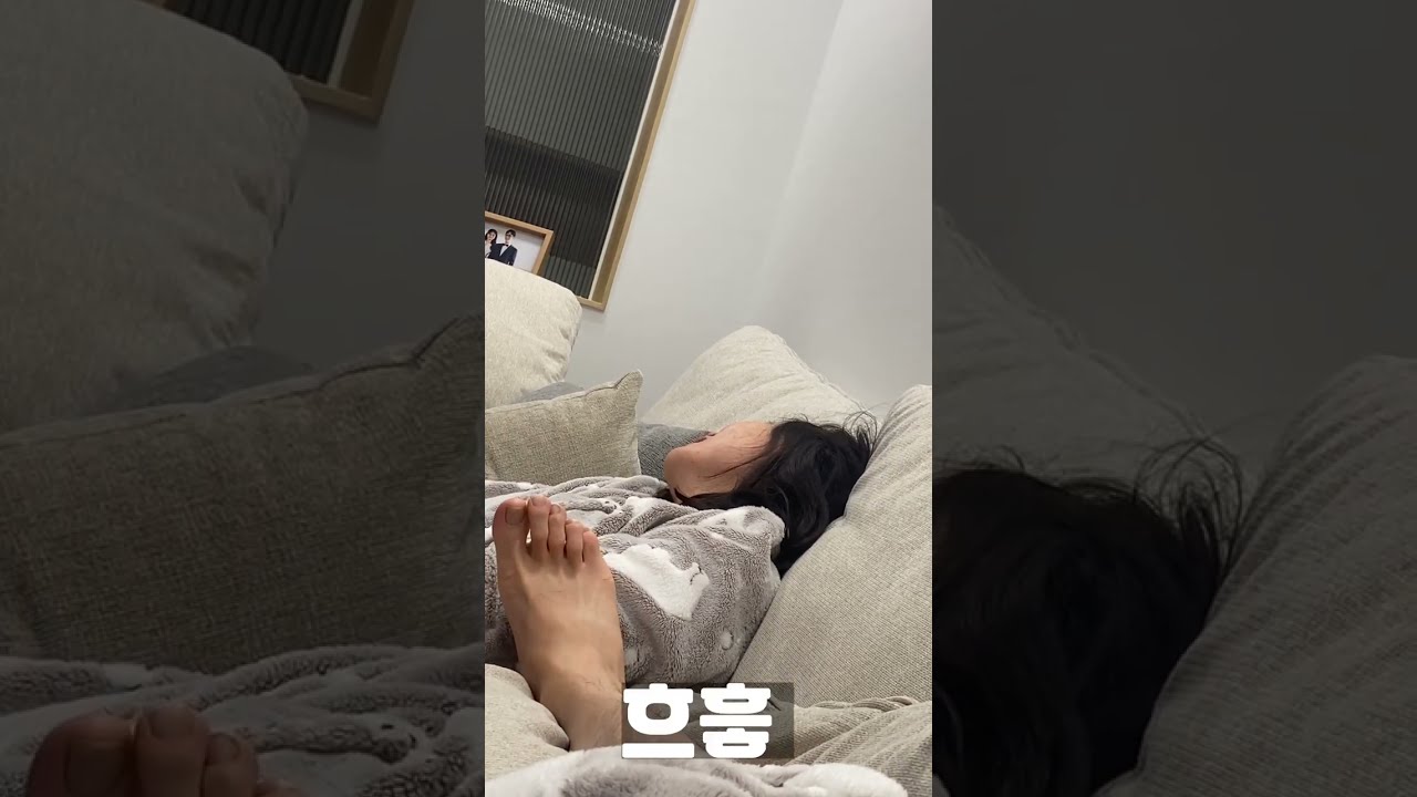 쫑이네집 - YouTube