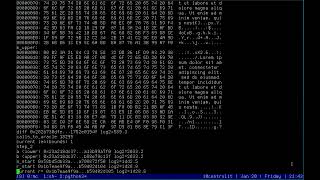 D.Bleichenbacher attack on RSA PKCS#1 1.5