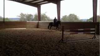 Rubinato Campana Doro - S, Jumping