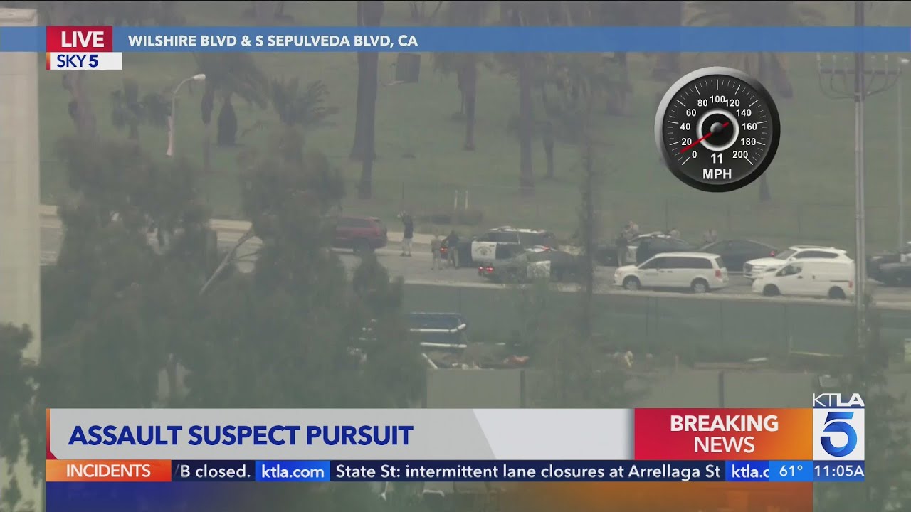 Assault suspect in custody after L.A. chase - YouTube