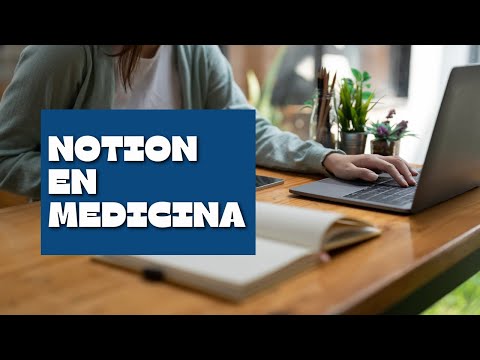 Organización - Uso de Notion