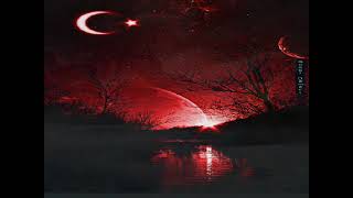 Ömür Gedi̇k - Radyoda