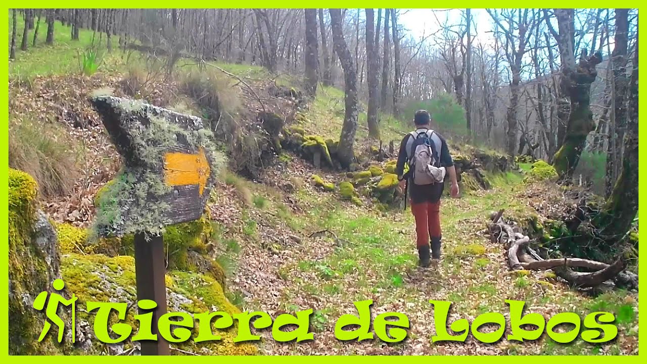 Tierra de Lobos / Alta Sanabria (Zamora)