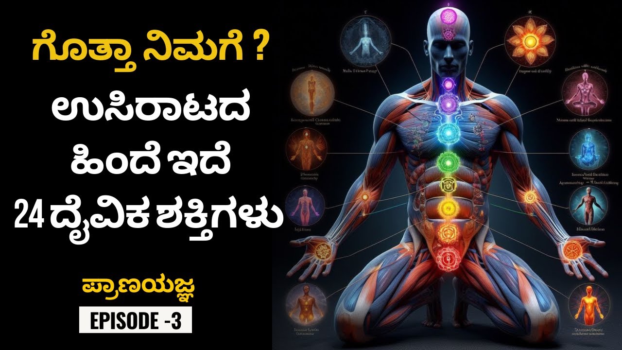 ನಿಮ್ಮ ಶರೀರವನ್ನು ತಯಾರಿಸಿದ ೨೪ ಶಕ್ತಿಗಳು ಗೊತ್ತಾ? ಈಗ ತಾವು ಅವರಿಗೆ ಧನ್ಯವಾದ ಹೇಳುವ ಸಮಯ!