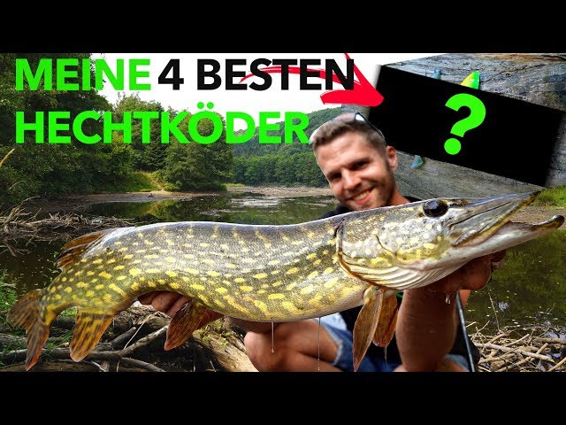 online hundefutter bestellen Online gesundes Hundefutter vom Rind bestellen main image 1