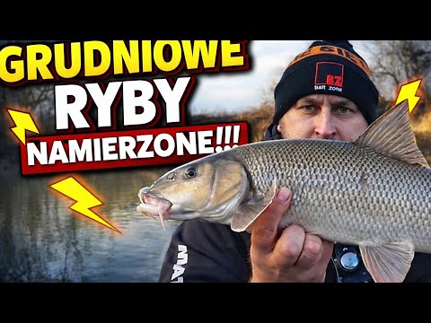 BUT I FOUND THEM!!! BEAUTIFUL FISH IN WINTER DECEMBER 2025