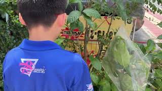 Full How plant let out water By Upper Guide
