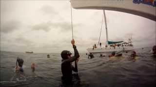 Caribbean Cup Freediving Sofia Gomez, Colombia
