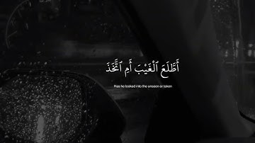 راحة نفسية 🥹🎧 | حالات واتس اب قرآن | القارئ شريف مصطفى