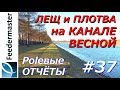 Лещ и плотва весной на канале. Осторожная рыба на Гребном канале