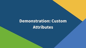 Custom Attributes