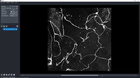 Learn the basics of Napari image viewer for Python