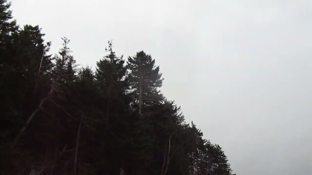 Hiking Along The Sissiboo River