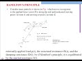Lec 8 Hamilton Principle and Virtual Displacement
